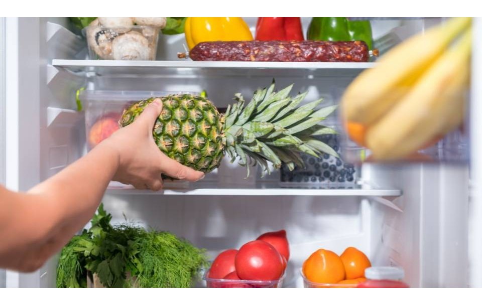 ¿Cómo elegir el frigorífico perfecto para tu hogar?